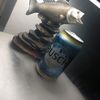 ajm5873